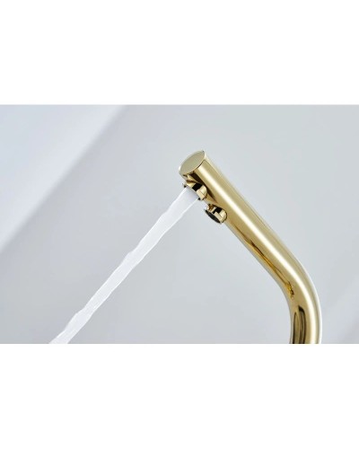 Смеситель для кухни с фильтром Paulmark Essen Es213011-G + H851P00