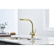 Смеситель для кухни с фильтром Paulmark Essen Es213011-G + H851P00