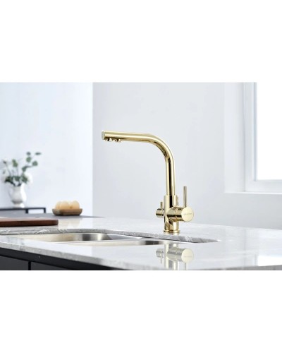 Смеситель для кухни с фильтром Paulmark Essen Es213011-G + H851P00