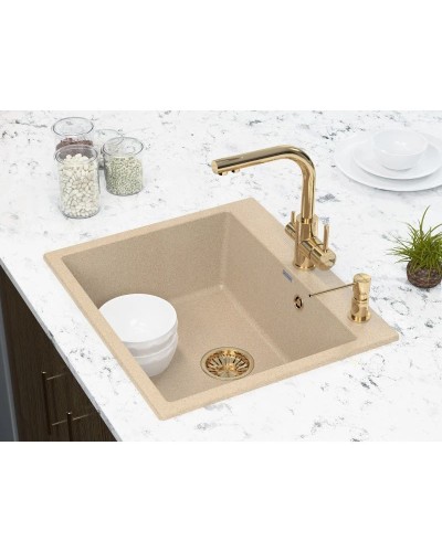 Смеситель для кухни с фильтром Paulmark Essen Es213011-G + H851P00