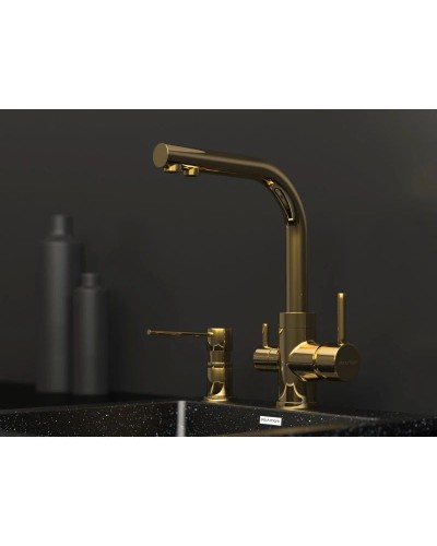 Смеситель для кухни с фильтром Paulmark Essen Es213011-G + H851P00