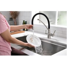 Смеситель для кухни с фильтром Paulmark Sigen Si213111-NI + H851P00