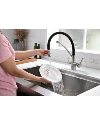 Смеситель для кухни с фильтром Paulmark Sigen Si213111-NI + H851P00