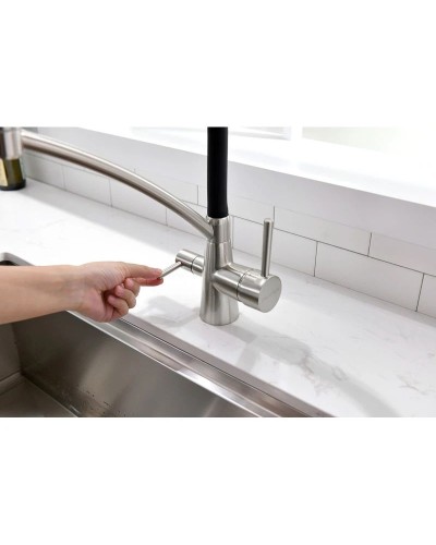 Смеситель для кухни с фильтром Paulmark Sigen Si213111-NI + H851P00