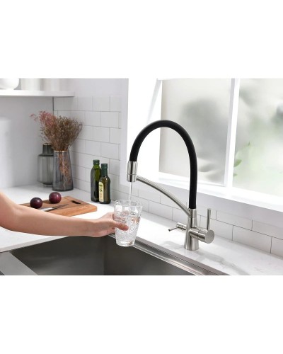 Смеситель для кухни с фильтром Paulmark Sigen Si213111-NI + H851P00