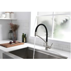 Смеситель для кухни с фильтром Paulmark Sigen Si213111-NI + H851P00