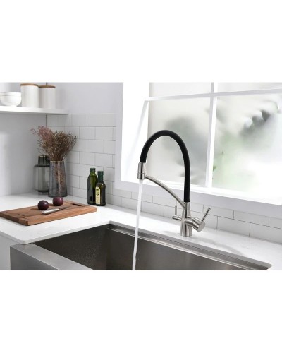 Смеситель для кухни с фильтром Paulmark Sigen Si213111-NI + H851P00