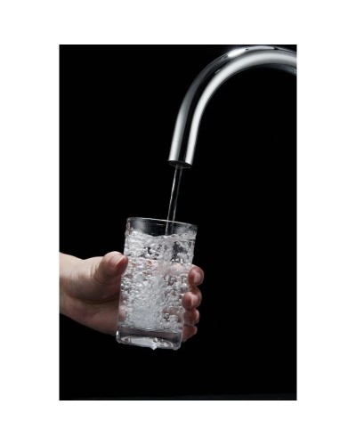 Смеситель для кухни с фильтром Paulmark Essen Es213211-307 + H851P00