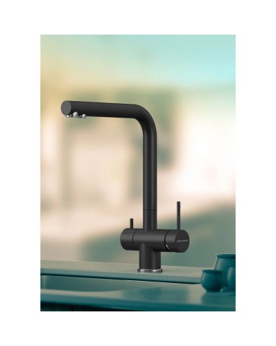 Смеситель для кухни с фильтром Paulmark Skalen Sk213020-401 + H851P00