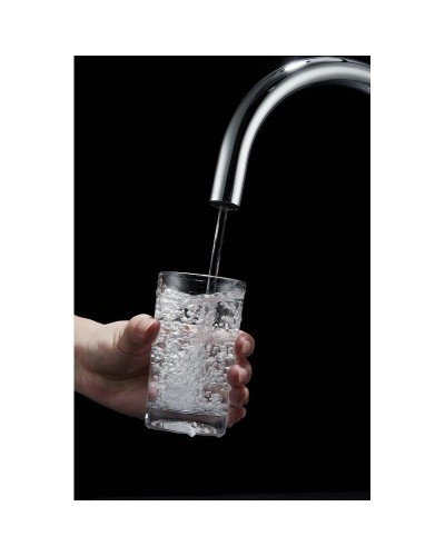 Смеситель для кухни с фильтром Paulmark Essen Es213211-CR + H851P00