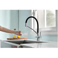 Смеситель для кухни с фильтром Paulmark Sigen Si213111-CR + H851P00