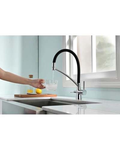 Смеситель для кухни с фильтром Paulmark Sigen Si213111-CR + H851P00