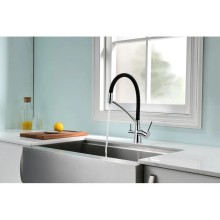 Смеситель для кухни с фильтром Paulmark Sigen Si213111-CR + H851P00