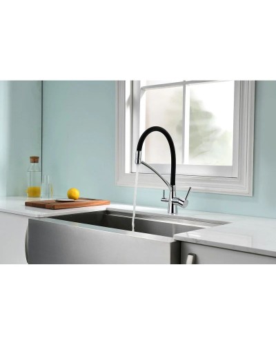 Смеситель для кухни с фильтром Paulmark Sigen Si213111-CR + H851P00