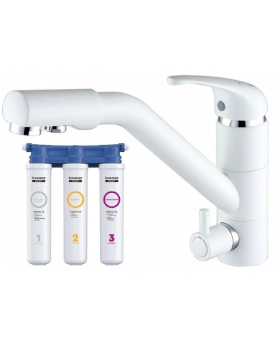 Смеситель для кухни с фильтром Paulmark Hessen He213017-431 + H851P00