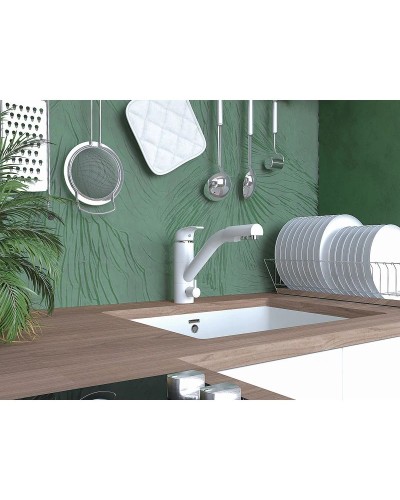 Смеситель для кухни с фильтром Paulmark Hessen He213017-431 + H851P00