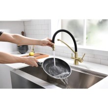 Смеситель для кухни с фильтром Paulmark Sigen Si213111-BR + H851P00