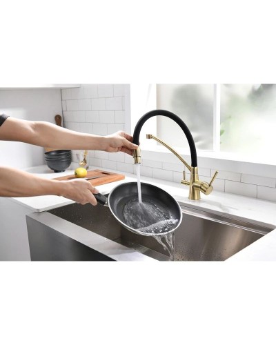 Смеситель для кухни с фильтром Paulmark Sigen Si213111-BR + H851P00