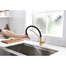 Смеситель для кухни с фильтром Paulmark Sigen Si213111-BR + H851P00