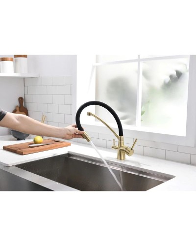 Смеситель для кухни с фильтром Paulmark Sigen Si213111-BR + H851P00