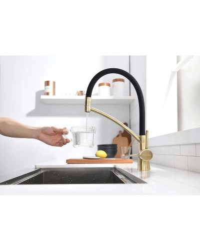 Смеситель для кухни с фильтром Paulmark Sigen Si213111-BR + H851P00