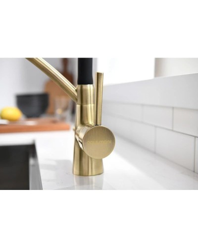 Смеситель для кухни с фильтром Paulmark Sigen Si213111-BR + H851P00