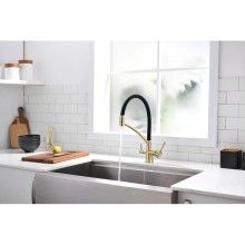 Смеситель для кухни с фильтром Paulmark Sigen Si213111-BR + H851P00