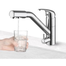 Смеситель для кухни с фильтром Paulmark Hessen He213017-NI + H851P00