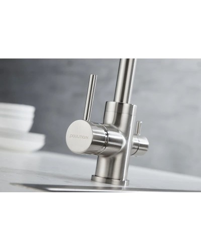 Смеситель для кухни с фильтром Paulmark Essen Es213211-NI + H851P00