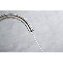 Смеситель для кухни с фильтром Paulmark Essen Es213211-NI + H851P00