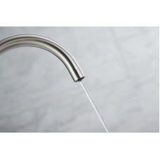 Смеситель для кухни с фильтром Paulmark Essen Es213211-NI + H851P00