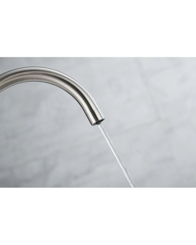 Смеситель для кухни с фильтром Paulmark Essen Es213211-NI + H851P00