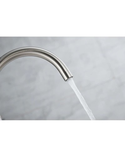 Смеситель для кухни с фильтром Paulmark Essen Es213211-NI + H851P00