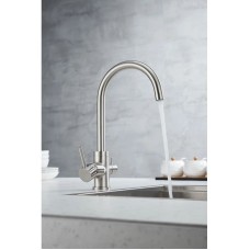 Смеситель для кухни с фильтром Paulmark Essen Es213211-NI + H851P00