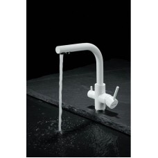 Смеситель для кухни с фильтром Paulmark Essen ES213011-431TW + H851P00