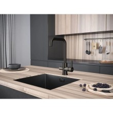 Смеситель для кухни с фильтром Paulmark Logas LO213021-GM + H851P00