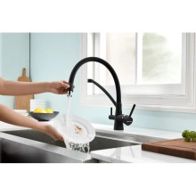 Смеситель для кухни с фильтром Paulmark Sigen SI213111-401TB + H851P00