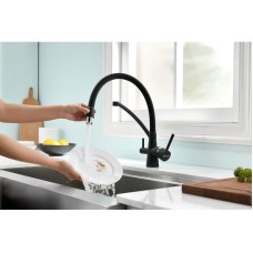 Смеситель для кухни с фильтром Paulmark Sigen SI213111-401TB + H851P00