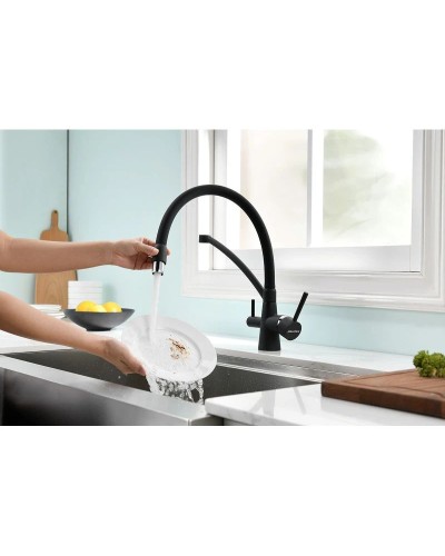 Смеситель для кухни с фильтром Paulmark Sigen SI213111-401TB + H851P00