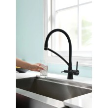 Смеситель для кухни с фильтром Paulmark Sigen SI213111-401TB + H851P00