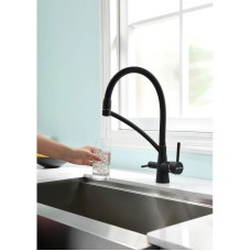 Смеситель для кухни с фильтром Paulmark Sigen SI213111-401TB + H851P00