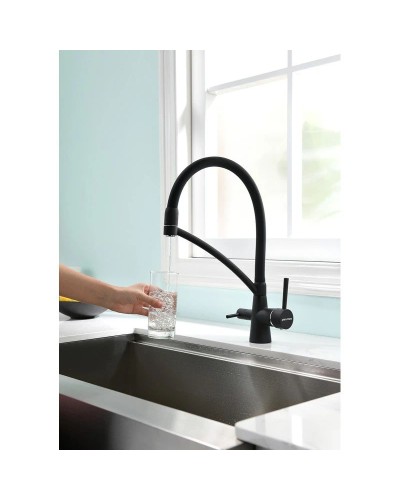 Смеситель для кухни с фильтром Paulmark Sigen SI213111-401TB + H851P00