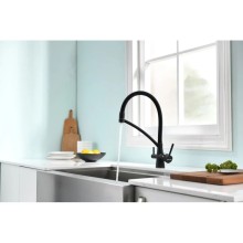 Смеситель для кухни с фильтром Paulmark Sigen SI213111-401TB + H851P00