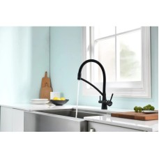 Смеситель для кухни с фильтром Paulmark Sigen SI213111-401TB + H851P00