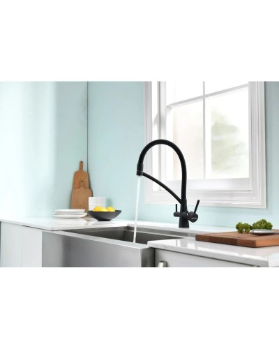 Смеситель для кухни с фильтром Paulmark Sigen SI213111-401TB + H851P00