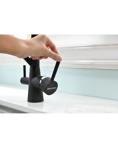 Смеситель для кухни с фильтром Paulmark Sigen SI213111-401TB + H851P00