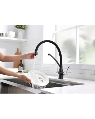 Смеситель для кухни с фильтром Paulmark Sigen SI213111-418 + H851P00