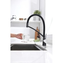 Смеситель для кухни с фильтром Paulmark Sigen SI213111-418 + H851P00