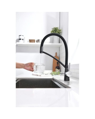 Смеситель для кухни с фильтром Paulmark Sigen SI213111-418 + H851P00