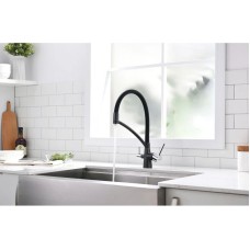 Смеситель для кухни с фильтром Paulmark Sigen SI213111-418 + H851P00